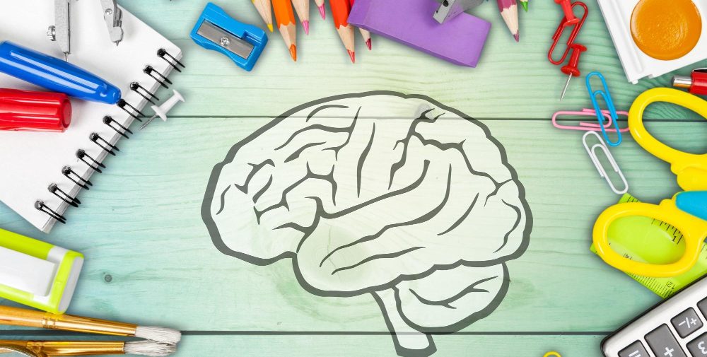 Desenho de um cérebro rodeado por itens de papelaria, como lápis, cadernos, pincéis e uma calculadora